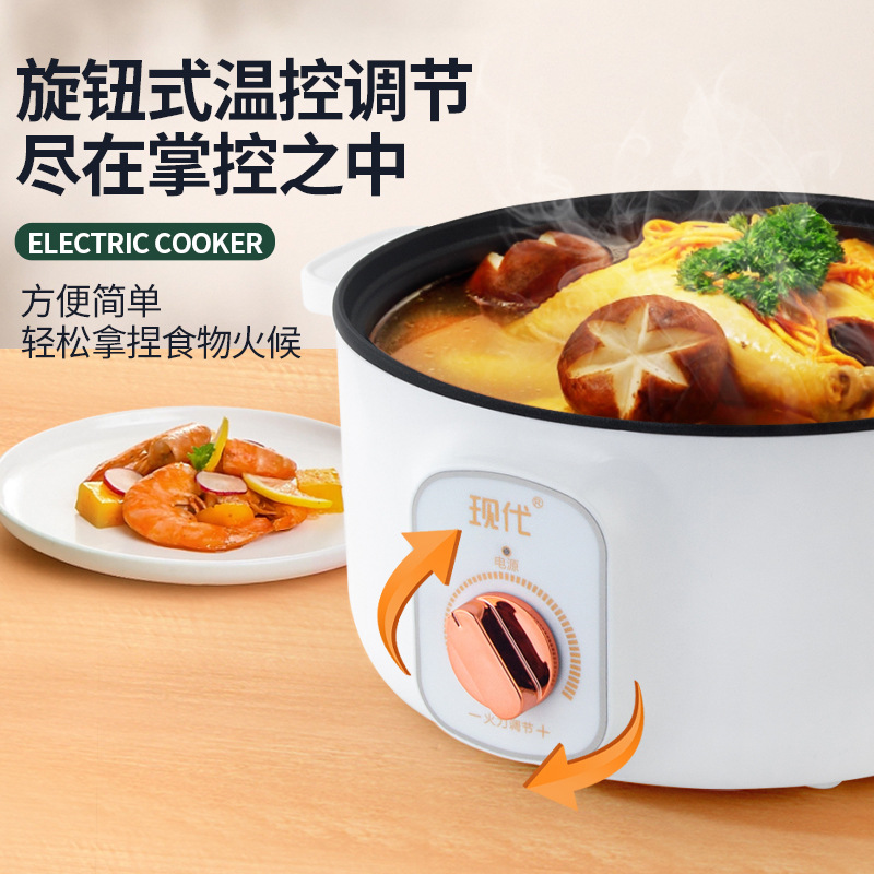 Multifunktionaler Mini-Elektro – Kitchen Appliances Cooking Bewertung und Preis